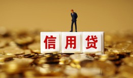 东莞上门哪有个人借贷-东莞上门小额贷款公司-东莞上门私借空放免费上门