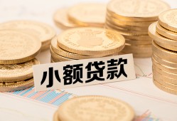 东莞上门身份证贷款平台-东莞上门私人借贷不查征信-东莞上门空放借钱