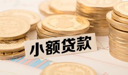 东莞上门身份证贷款平台-东莞上门私人借贷不查征信-东莞上门空放借钱